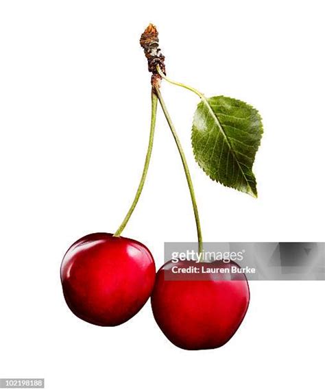 241,038 Cherry Stock Photos & High